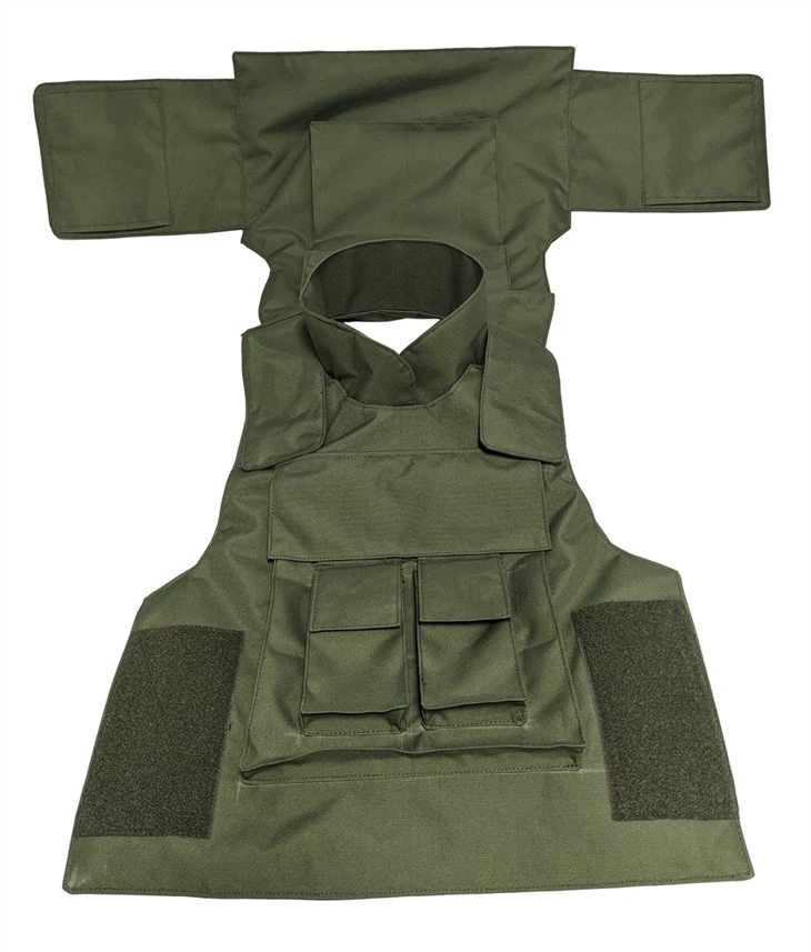 Ballistic Plate Carrier Ves